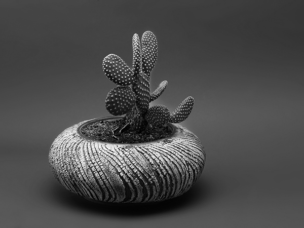 Potier de Terre - Créateur d'Art